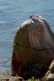 Granite Island 11 (of 12)