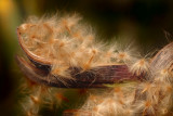 blowin' in the wind