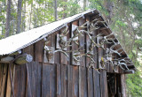 Mountain Man's Trophy Display