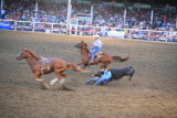 Steer Wrestling ( Hard Day's Work)
