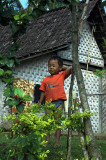 Village boy inland from Banyuwangi