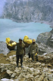 Sulphur mine workers, Ijen