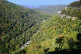 A scene across the canyon #3
