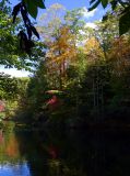 Laurel Lake #3