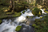 Quilcene River