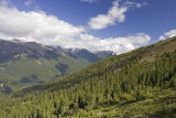Dungeness Valley