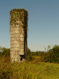 OLD SILO (WHITE BALANCE TEST - SHADY WB)