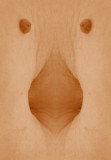NOMBLILUS