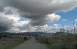 IMG_0208.jpg