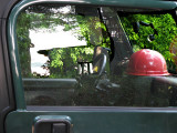 Composite of reflection 0663-64
