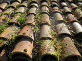 Tiles 0670