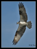 4-21-07-B-166.jpg