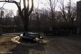 Parc Lafontaine pict6423.jpg