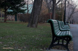 Parc Lafontaine pict6440.jpg