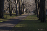 Parc Lafontaine pict6401.jpg