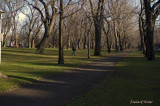 Parc Lafontaine pict6402.jpg