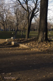 Parc Lafontaine pict6409.jpg