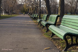 Parc Lafontaine pict6415.jpg
