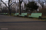 Parc Lafontaine pict6417.jpg