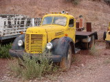 yellow International