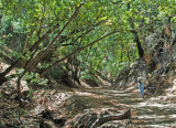 John Peralta on trail at Briones
