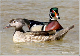NATURE LORE-VOL 1 NUMBER 2-GIFFORD PINCHOT STATE PARK
