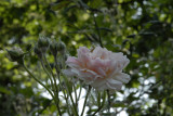 May 2007 - Parc de Bercy 75012