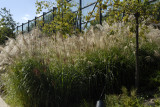 September 2007 - Musée du Quai Branly 75007