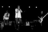 Lester Butler tribute band 3556.JPG