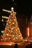 Official City Tree