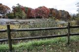 October 24, 2006Cook Park