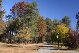 October 30, 2006Autumn
