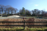 December 3, 2006Cook Park