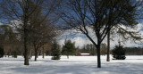 February 21, 2007Cook Park