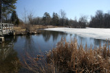 March 29, 2007Ann Lee Pond