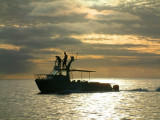 A whale-watching boat accompanies us back to the Port of Refuge