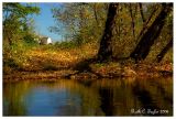 Autumn Morning Along the Creek