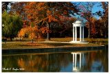 Gazebo in the Park