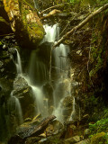 Falls