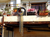 American colony house side2.JPG