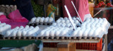 egg trays.JPG