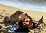 dog man reading.JPG