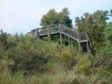 A BIRD WATCHING PLATFORM