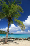 Cinnamon Bay - St. John