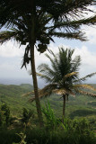 St. Lucia