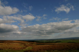 Teesdale