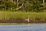 slt_gravel island_207.jpg