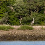 slt_gravel island_210.jpg