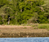 slt_gravel island_214.jpg