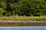 slt_gravel island_220.jpg